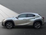 LEXUS UX 250h*FSPORT-D*1HD*ALLWR*CARPLAY* 15J-GARANTIE