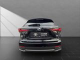 LEXUS NX 300 h E-Four Luxury *HUD*PANO*360*