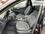 FORD Kuga Titanium X LED Navi Rückfahrkam. ACC B & O