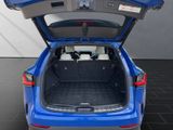 LEXUS NX 450h 450 h+ F-Sport, AHK