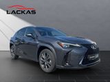 LEXUS UX 250 h*MARK LEV.MEMORY F SPORT*KEIN DESIGN*VOL
