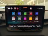 CUPRA Terramar 2.0TSI 4D VZ AHK/Pano/DCC/Matrix/Sennh