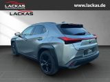 LEXUS UX 250h EU6d STYLE+*LED*ACC*CA RPLAY* LED ACC Ap
