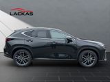 LEXUS NX 350h Luxury Line 4x4 PANORAMASCHIEBEDACH