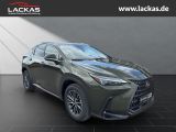 LEXUS NX 350h Executive Interieur + Technologie Paket