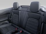 MERCEDES-BENZ C 180 Cabrio AMG NIGHT SPUR PDC SHZ