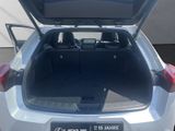 LEXUS UX 250 h*EXECUTIVE*HUD*LEDER*SCHIEBEDACH