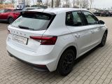 SKODA Fabia 1.0TSI Black-Edition Kamera/GV5/AppCon/SHZ