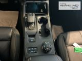 FORD Ranger Wildtrak 3.0 V6 240 PS -El.Rollo-Standheizung-