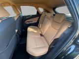 LEXUS NX 450h + BUSINESS 4x4 1HD NAVI CARPLAY