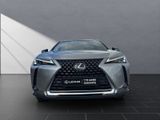 LEXUS UX 250h*STYLE*FACELIFT* ALLW.*CARPLAY*GARANTIE