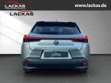 LEXUS UX 250h EU6d STYLE+*LED*ACC*CA RPLAY* LED ACC Ap