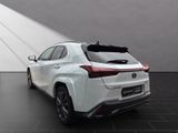 LEXUS UX 250h*F-SPORT*AHK*HUD*CARPLAY* 15J-GARANTIE*