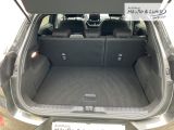 FORD Puma ST-Line LED Rückfahrkam. Winterpaket