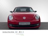 VW Beetle Design Klima Einparkhilfe Klima