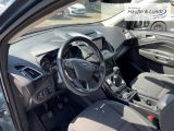 FORD Kuga Titanium Navi Soundsystem Bi-Xenon El. Heckklappe Apple CarPlay Android Auto Mehrzonenklima