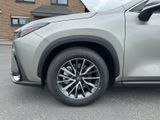 LEXUS NX 450h +4x4+Business+SITZ-BEL+AMBIENTEL+ SOFORT