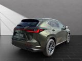 LEXUS NX 450h + Executive Technik& Interieur Paket,Pan