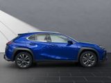 LEXUS UX 250h F Sport Design NAVI+KAMERA+ACC+LED+18"