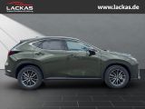 LEXUS NX 350 h 243 PS Executive Inter ieur Paket + Tec