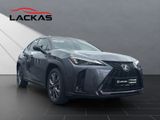 LEXUS UX 300 h F Sport Design Tech-Paket