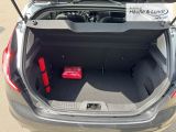 FORD Fiesta Titanium Klimaautom Ambientebeleuchtung SHZ Notbremsass. Temp PDC Berganfahrass.