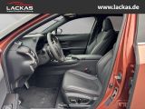 LEXUS UX 300h F-Sport Navi LED ACC Apple CarPlay
