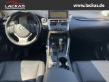 LEXUS NX300H Luxury 4x4 Panorama
