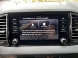 SKODA Karoq Selection Plus el.Heckklappe/Kamera/PDC