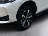 MG HS PHEV Luxury 360 DISTR SPUR PDC SHZ