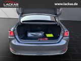 LEXUS ES 300 h*BUSINESS*SCHIEBEDACH 15J-GARANTIE*