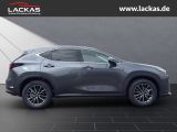 LEXUS NX 350h h 243 PS Executive Inter ieur Paket + Te