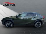 LEXUS UX 250h STYLE SHZ+KAMERA+PDC+LED+DAB+CARPLAY+18"