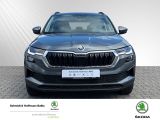 SKODA Karoq Klima Navi Rückfahrkamera Sitzheizung