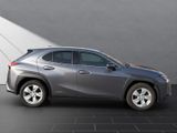 LEXUS UX 250 h*KAMERA*