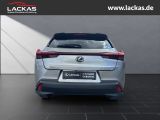 LEXUS UX 250h STYLE*FWD*EDITION*FACE LIFT*LED*CARPLAY*