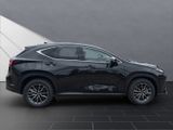 LEXUS NX450H+ Executive Panorama Int+Technologie Paket