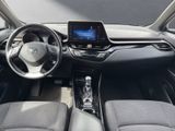 TOYOTA C-HR Hybrid Team D