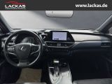 LEXUS UX 250h STYLE*FWD*EDITION*FACE LIFT*LED*CARPLAY*
