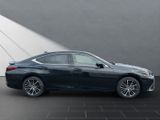 LEXUS ES 300 300h Business Line