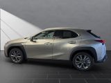 LEXUS UX 250h*F-SPORT-D.*1HD*NAVI*LEDER* 15J-GARANTIE*