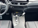 LEXUS UX 300h F-Sport E FOUR Schiebedach+360°+LEDER