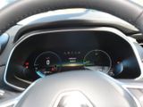 RENAULT ZOE Iconic Kauf- Batterie+ PDC+RfK+NAVI+SHZ+LHZ