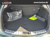 LEXUS NX 350h h 243 PS * Sitzklima Connect - Paket 360