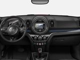 MINI Cooper S Countryman H&K LED Kamera Keyless PDC SHZ