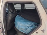 RENAULT Austral Techno Esprit Alpine NAVI+PDC+RfK