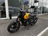 TRIUMPH Trident 660 MY26 Quickshifter
