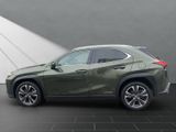 LEXUS UX 250H*1HAND*TOTW*SCHECKHEFT*