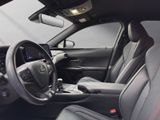 LEXUS UX 250h*F-SPORT*AHK*HUD*CARPLAY* 15J-GARANTIE*