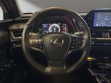 LEXUS UX 250 h F-Sport Design Allwetter